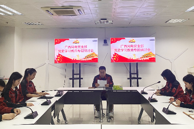 风电广西党支部多种形式 组织开展党史学习教育